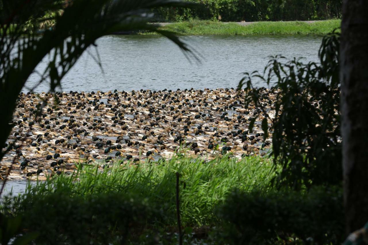Green Palace Ayurveda Resort, Alleppey Alappuzha Eksteriør bilde